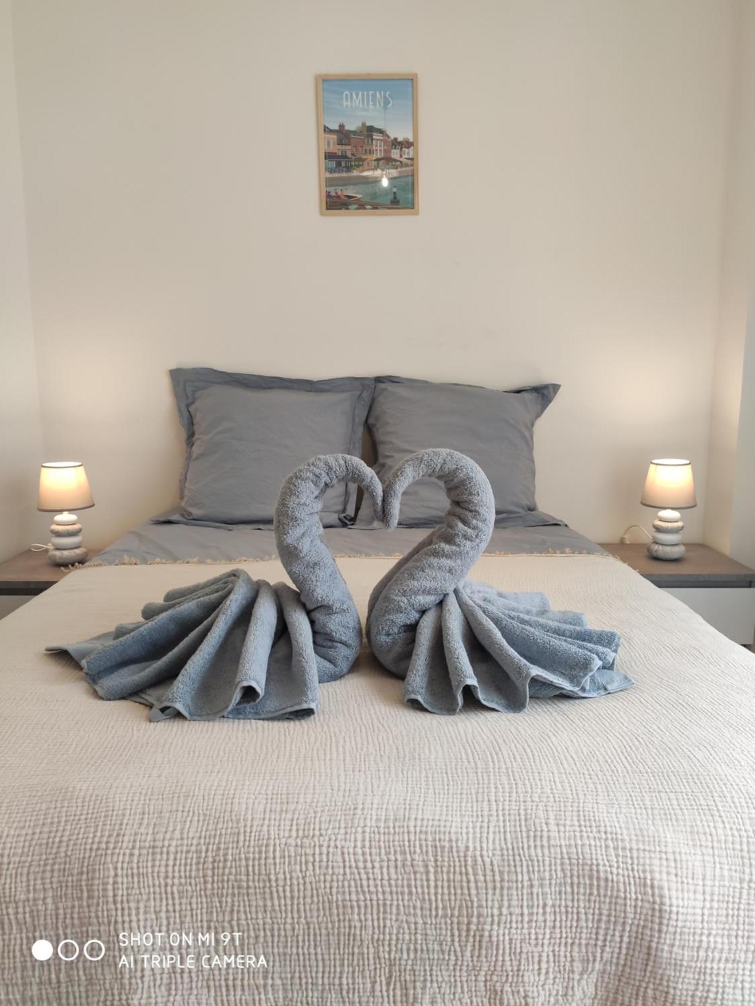 Sublime T2 Lumineux Avec Balcon - Rue Gratuite Lejlighed Amiens Eksteriør billede